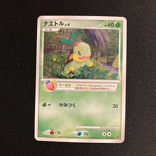 超希少極‼️ ナエトル　ハヤシガメ　ドダイトス　プロモ　幻カード　3枚　ホロ　渦巻 超希少極‼️ ナエトル ハヤシガメ ドダイトス プロモ 幻カード 3