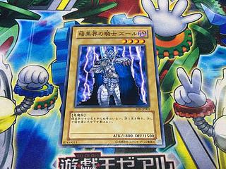 Y-1643 Zure, Knight of Dark World Normal JP001