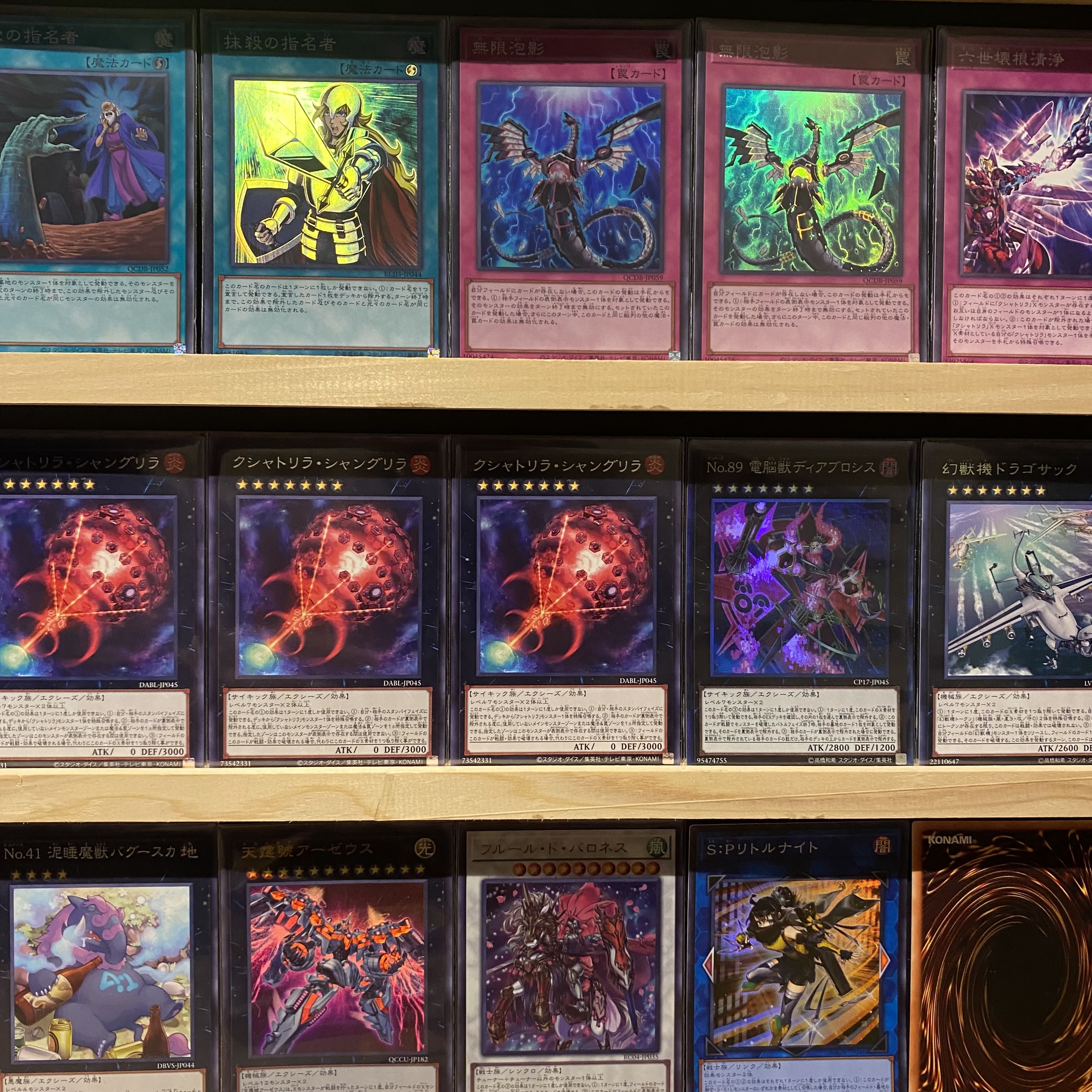 即日発送!大会用【クシャトリラ】デッキ 遊戯王 クシャトリラ 即日発送!大会用【クシャトリラ】デッキ 遊戯王 クシャトリラ
