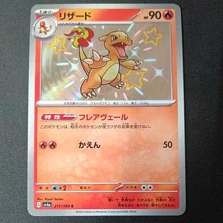 リザード S 211/190