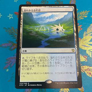 Flooded Strand Tarkir MTG Japanese