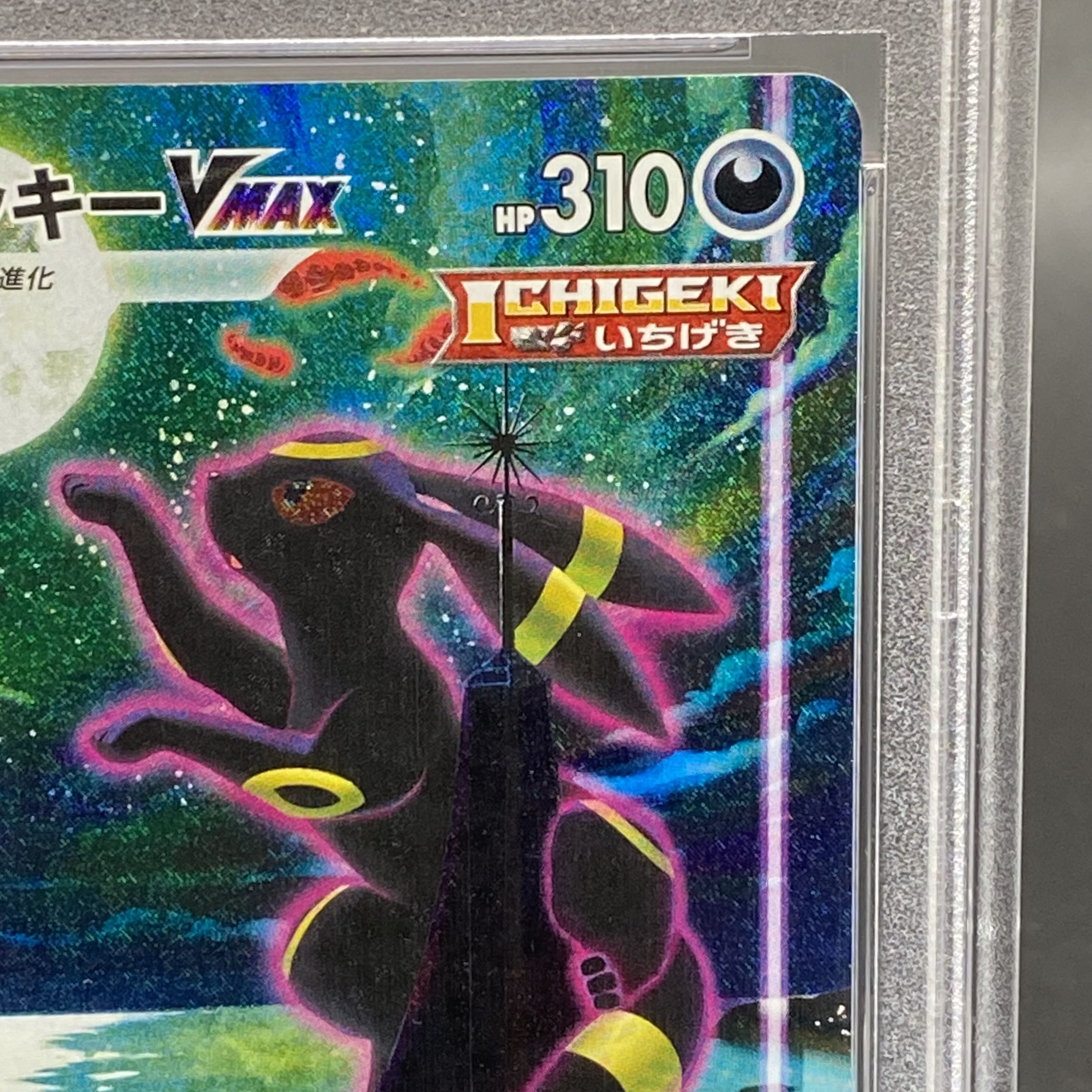 PSA10】ブラッキーVMAX HR 095/069の通販 土日祝休@magi公式