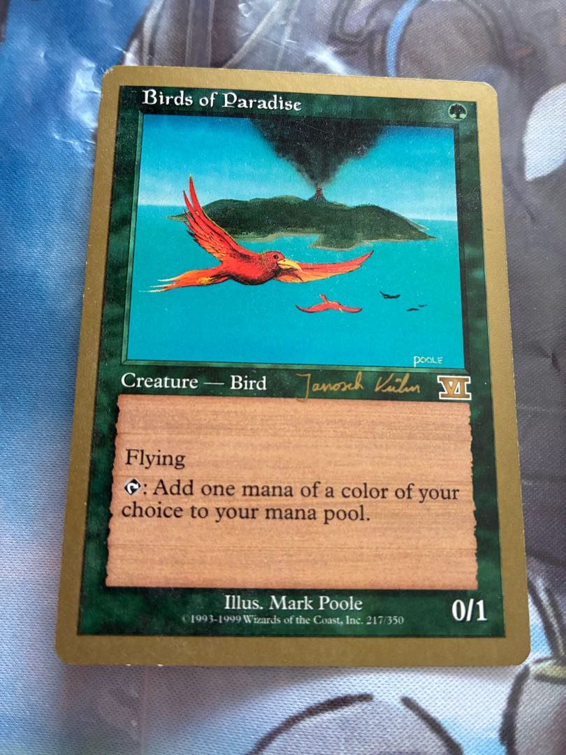 Birds of Paradise Gold Frame