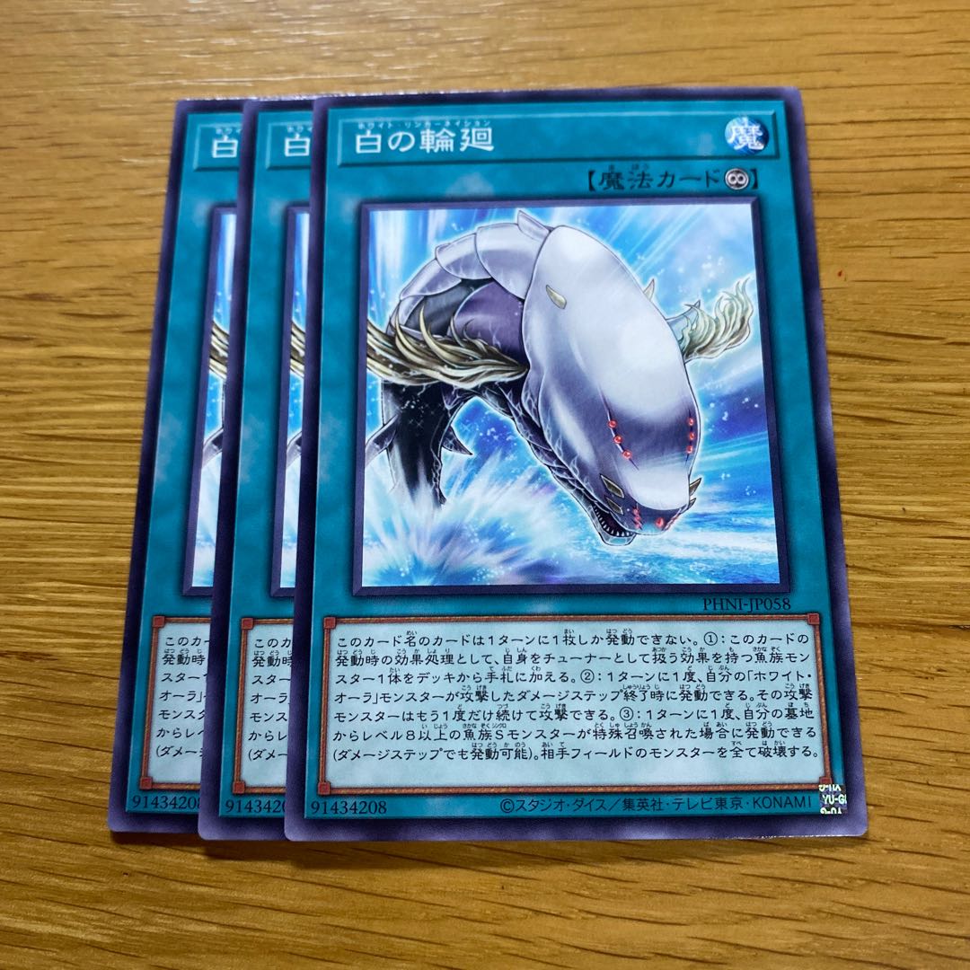 White Rings Normal PHNI-JP058