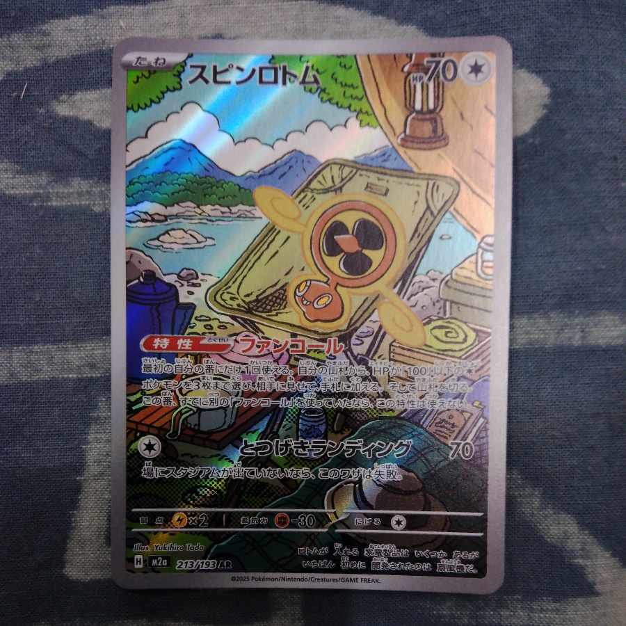 スピンロトム AR 213/193 1枚