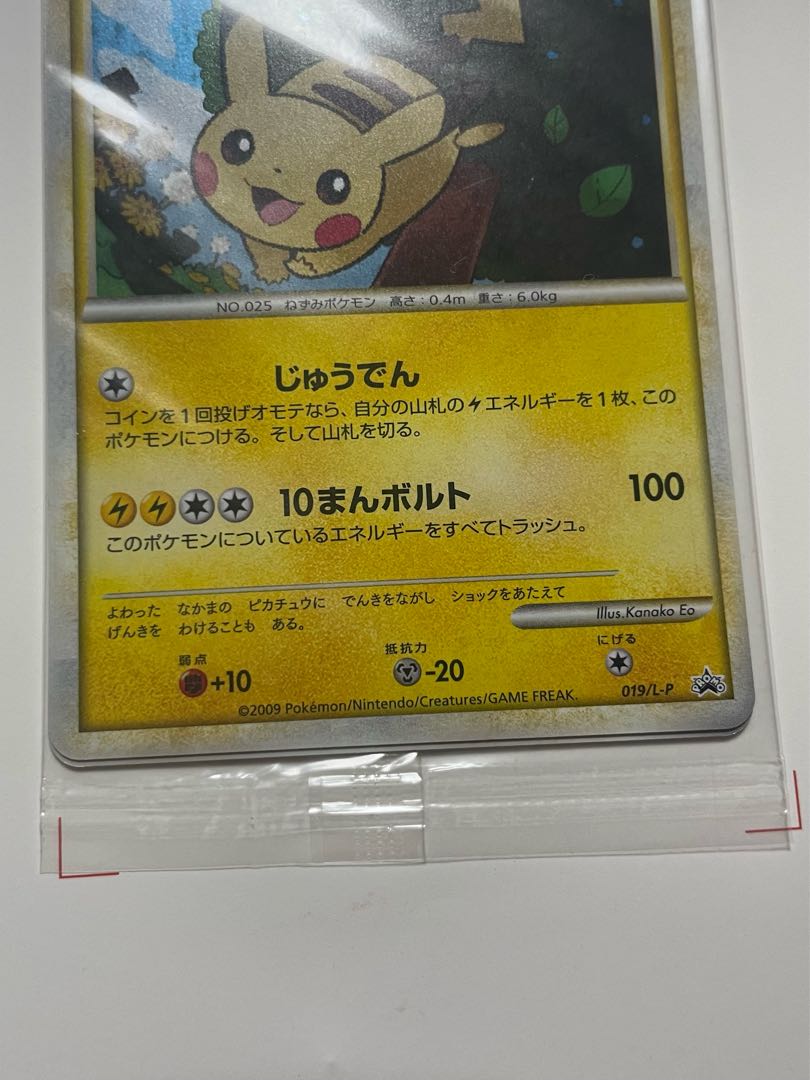 ポケモンだいすきクラブ プロモ PCG アクションポイント ポケモンだいすきクラブ プロモ PCG アクションポイント
