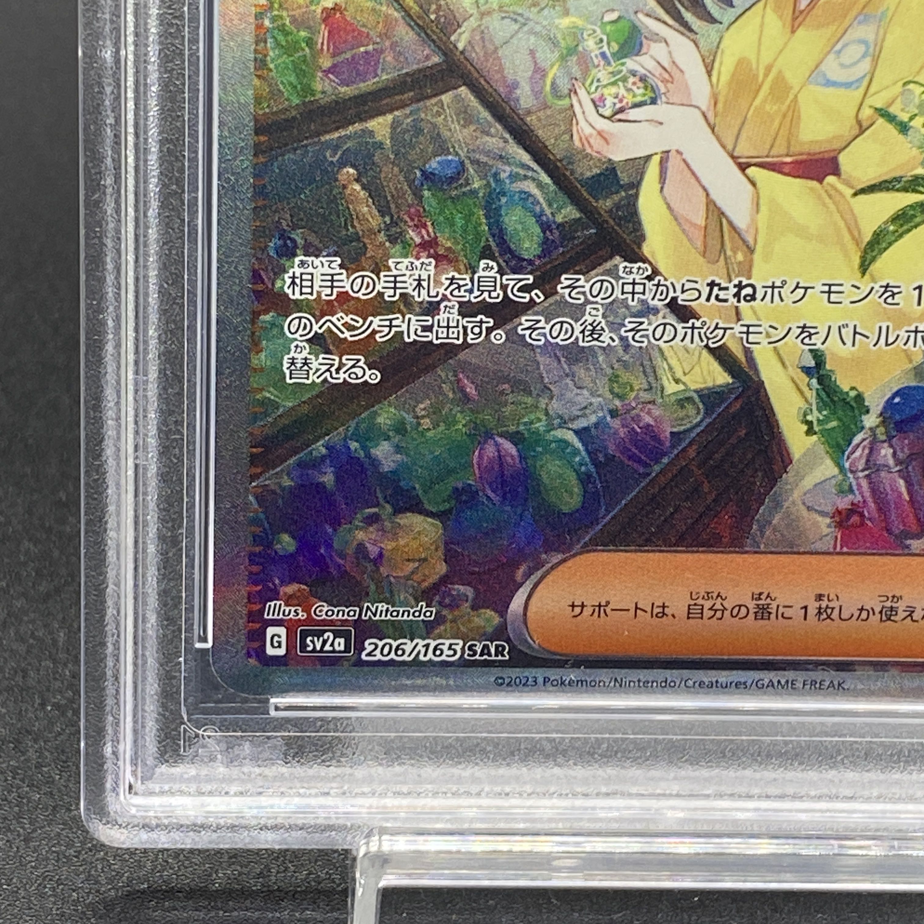 PSA10】エリカの招待 SAR 206/165の通販 土日祝休@magi公式 PSA10】エリカの招待 SAR 206/165の通販 土日祝休@magi公式