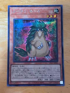 ユーカリ•モール　シークレットレア