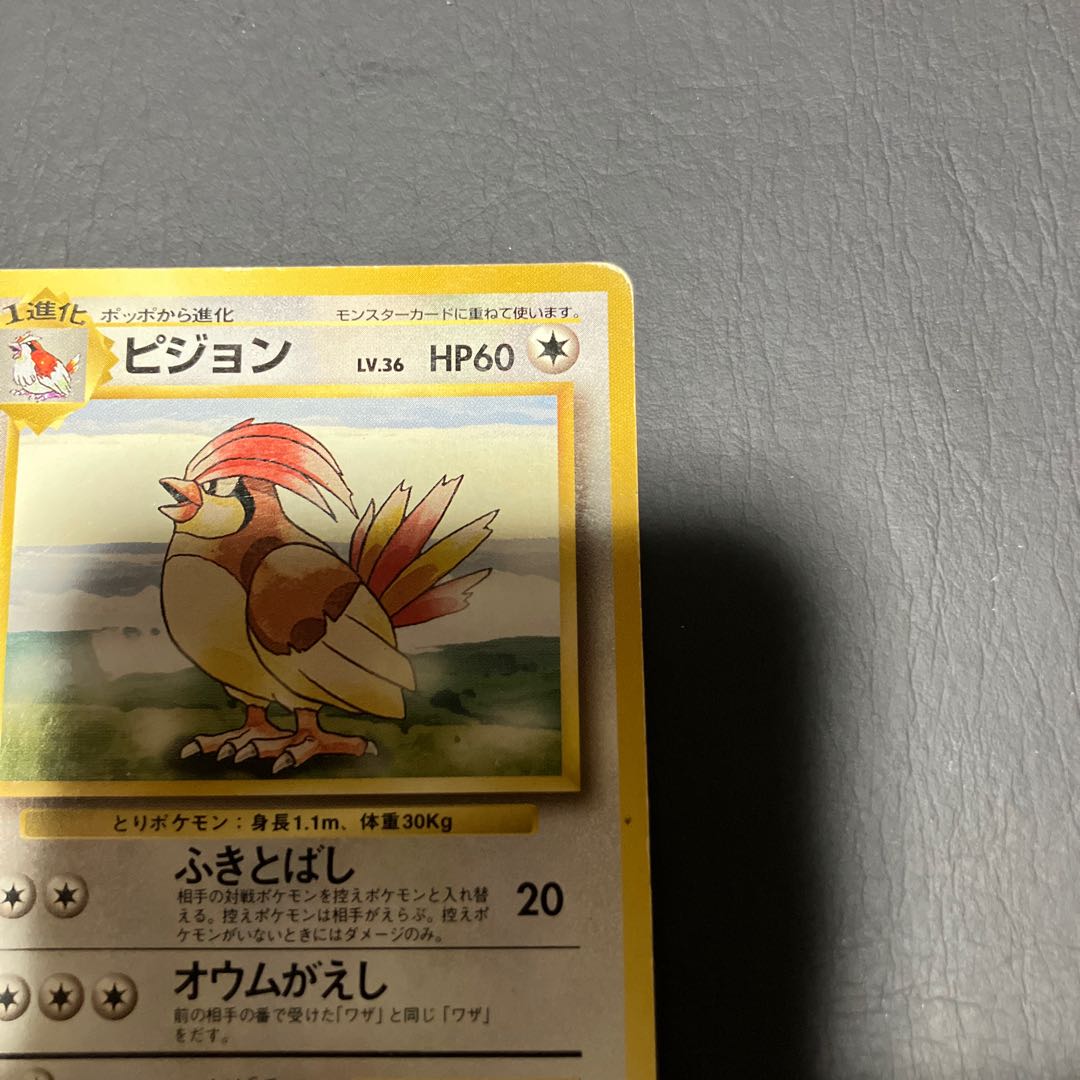 【状態】C ポケカ　旧裏　マークなし　ピジョン 1枚