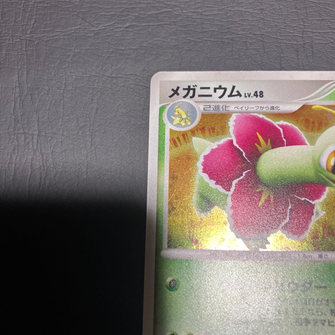【状態B】　ポケカ　メガニウム 1枚
