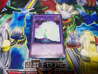 Y-1409 Allvain the Essence of Vanity Normal JP038