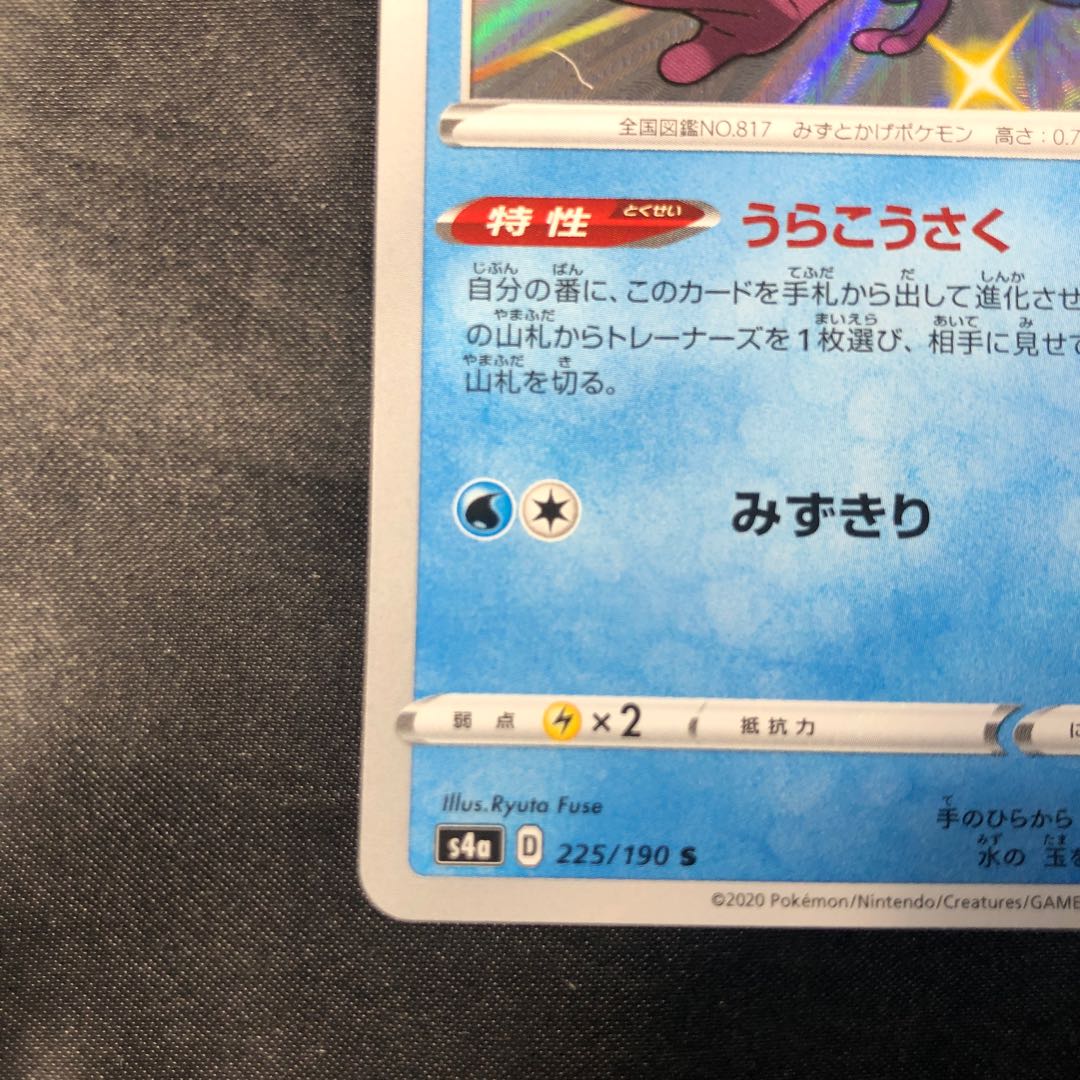 ジメレオン S 225/190 1枚