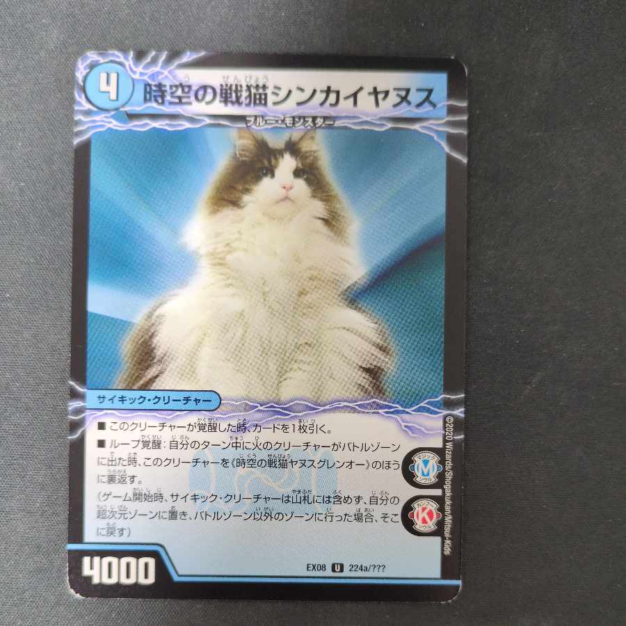 Space-Time War Cat Shinkaianus｜Space-Time War Cat Janus Glen-O U 224a/???? ｜U 224b/????? 1枚