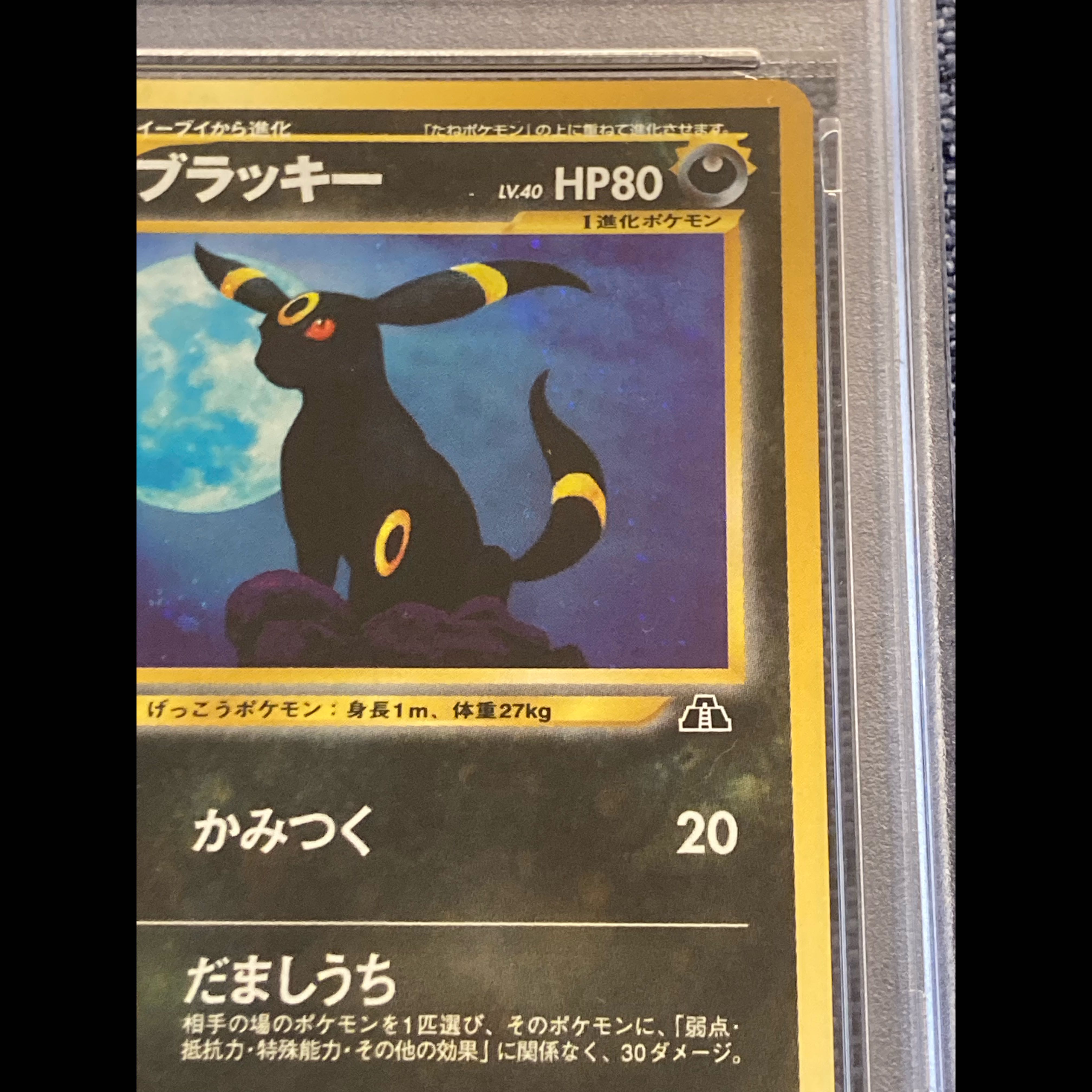 ブラッキー 旧裏 PSA6 鑑定付き 遺跡をこえて… 1枚