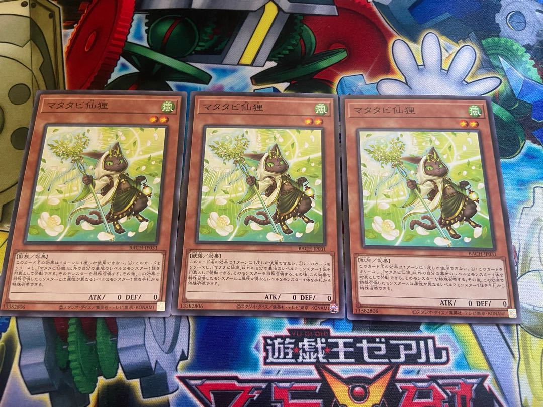 Y-828 Matatabi sengan tanuki normal JP031