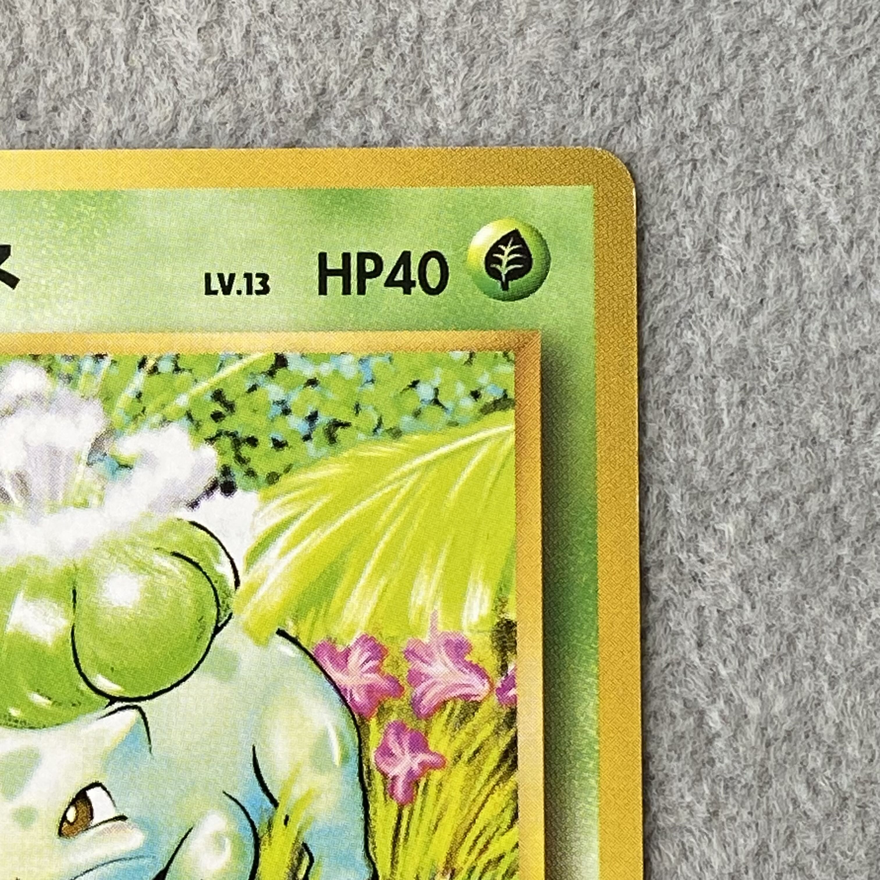 Bulbasaur First Edition, No Markings, Old Back Cover  1枚