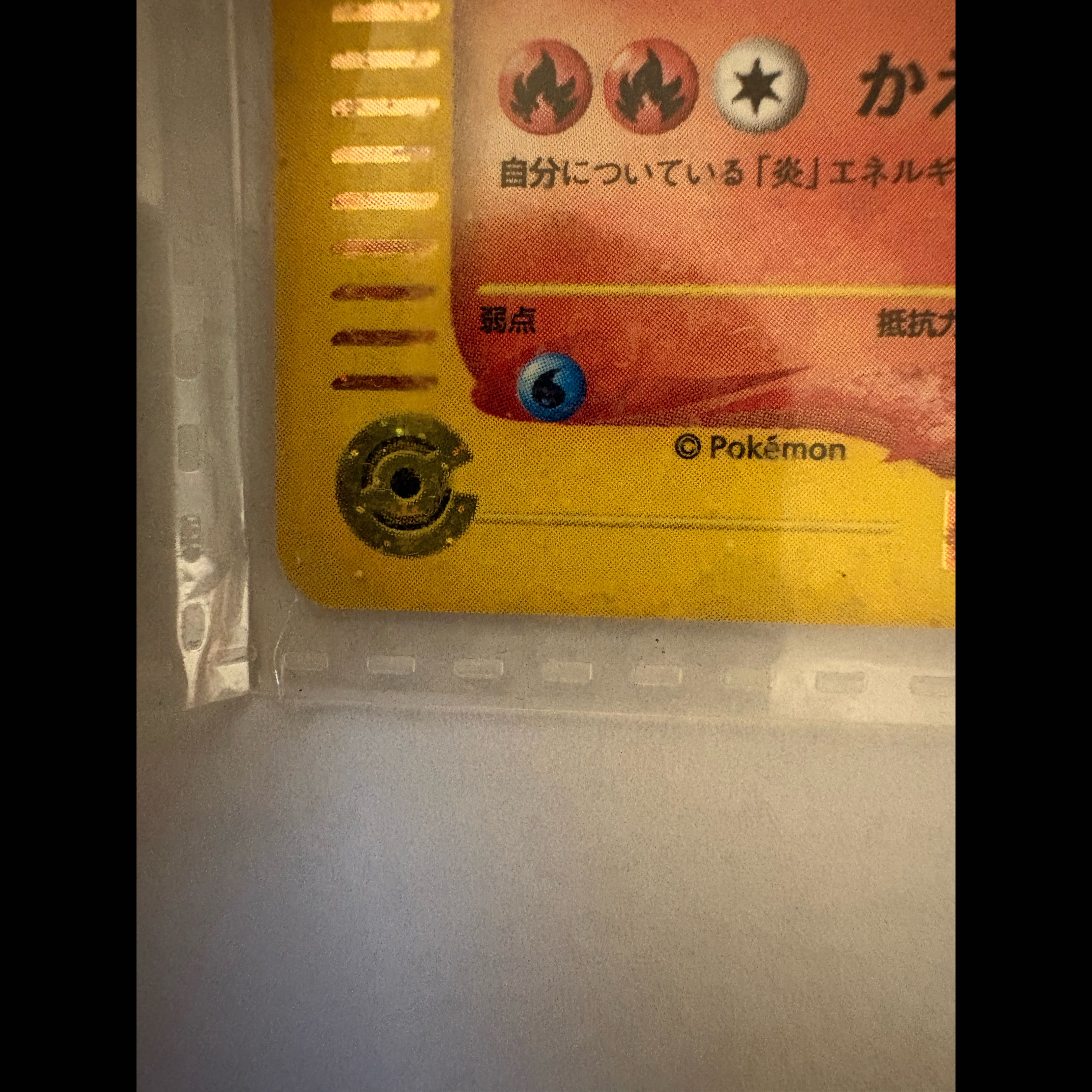Pokémon Card Triple Get Campaign: First-Generation Starter Pokémon 1枚