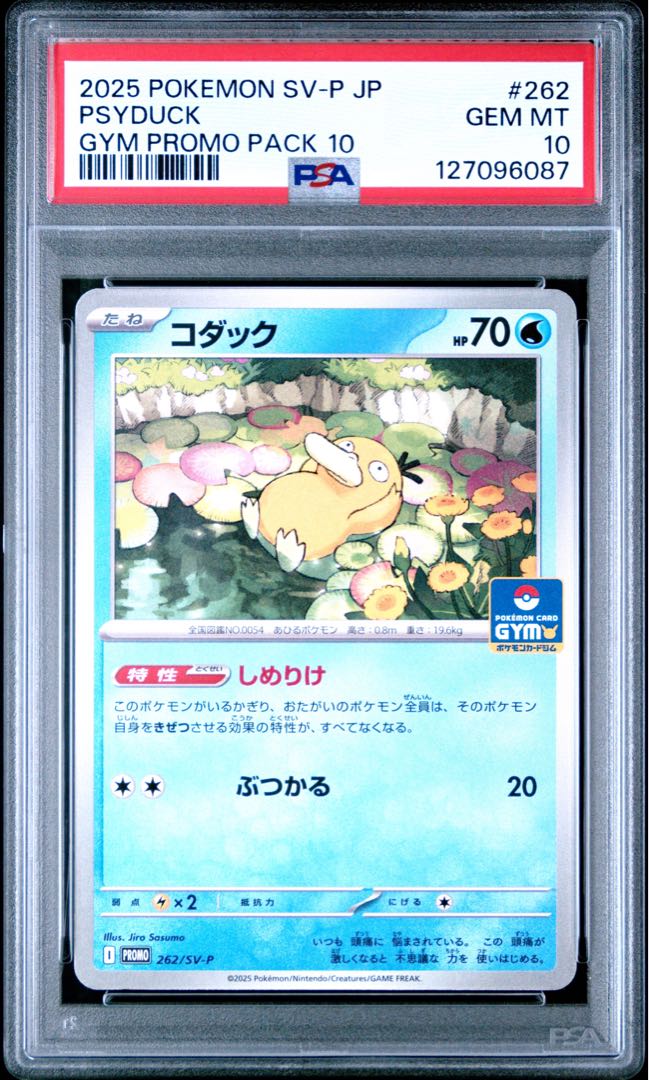 【PSA10】コダック P [SV-P 262](プロモカードパック「第10弾」) 1枚