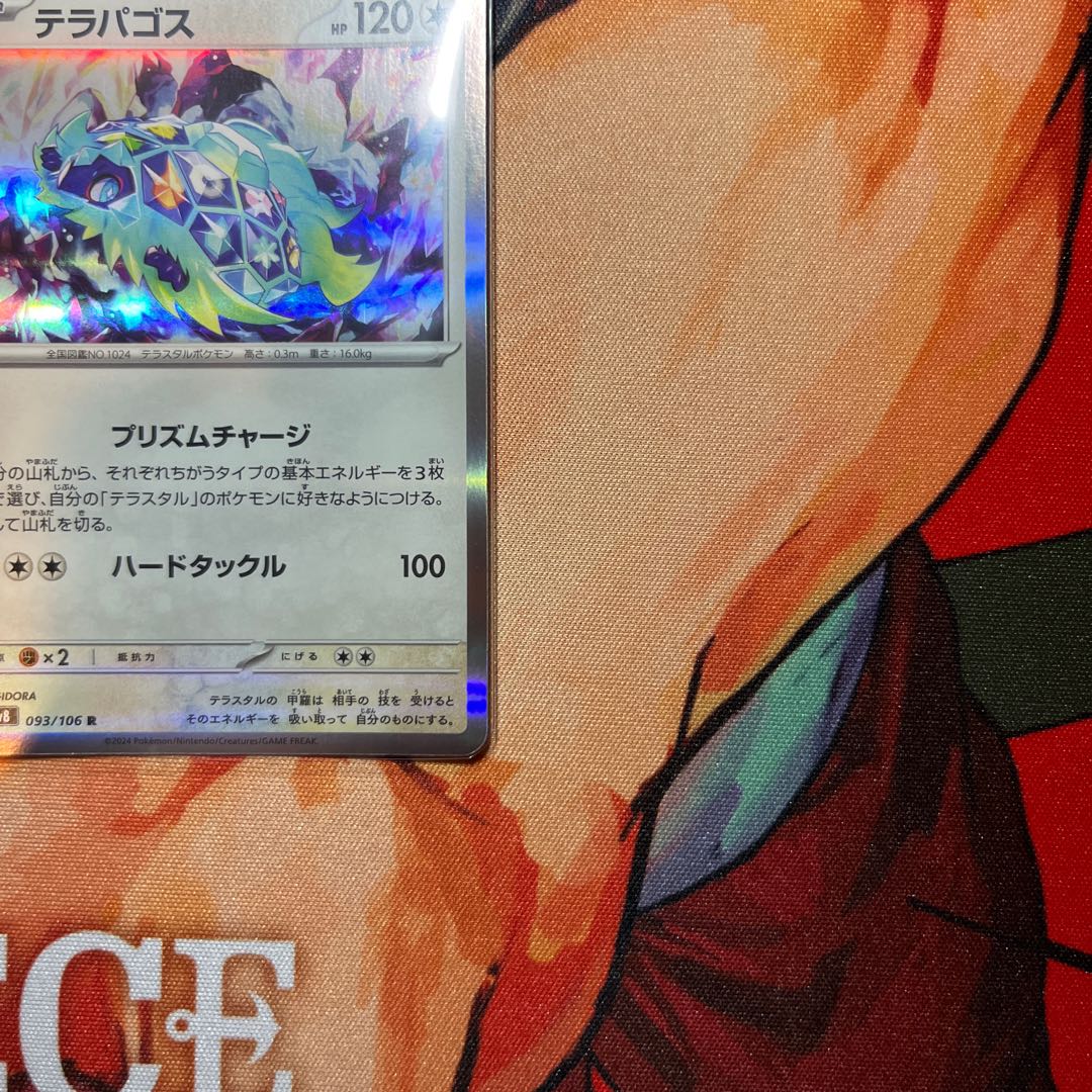 美品 テラパゴス R 093/106