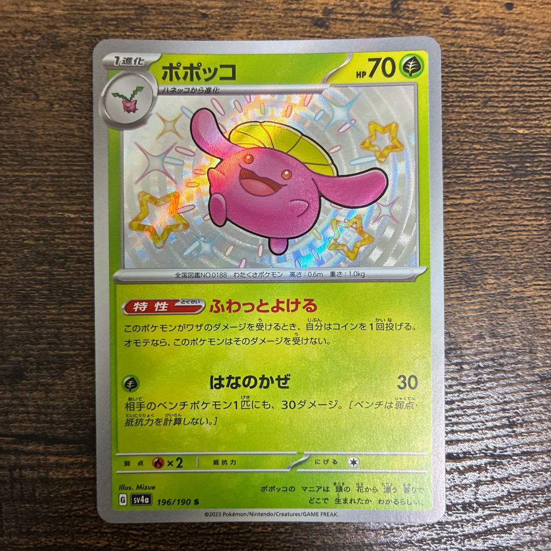 Skiploom S 196/190 1枚