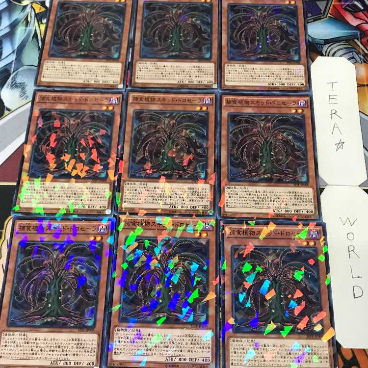 1 Normal Parallel, Effect, Set of 9, Tera. 9枚