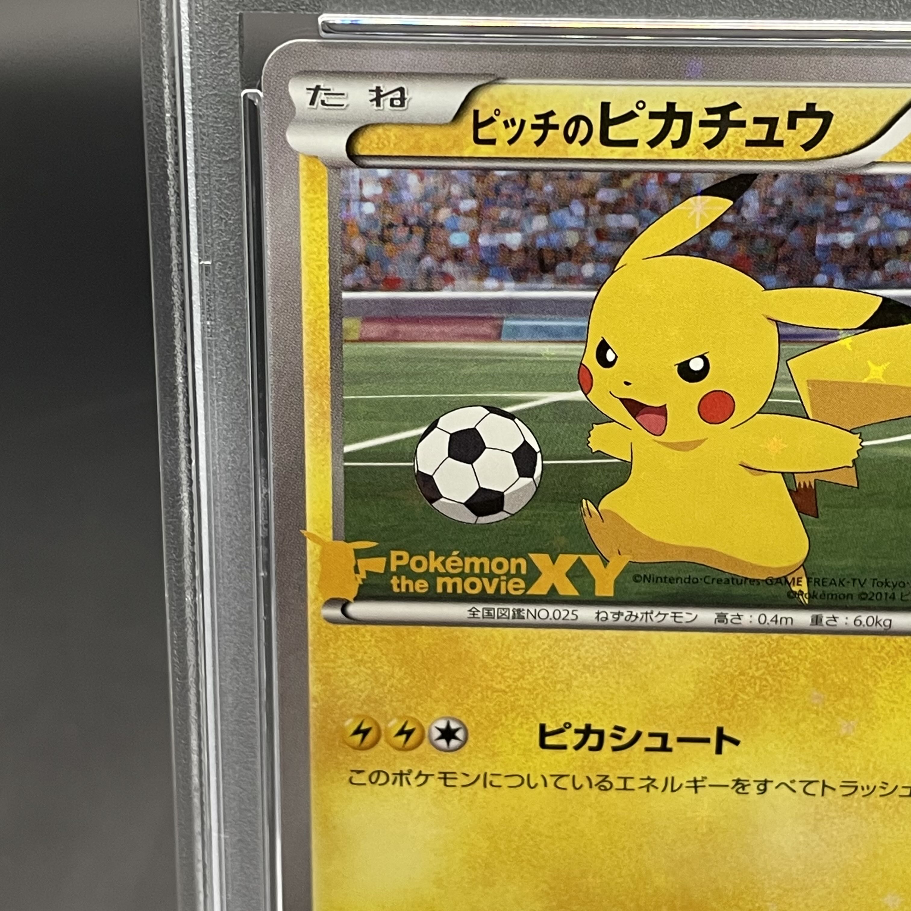 【PSA10】ピッチのピカチュウ PROMO XY-P