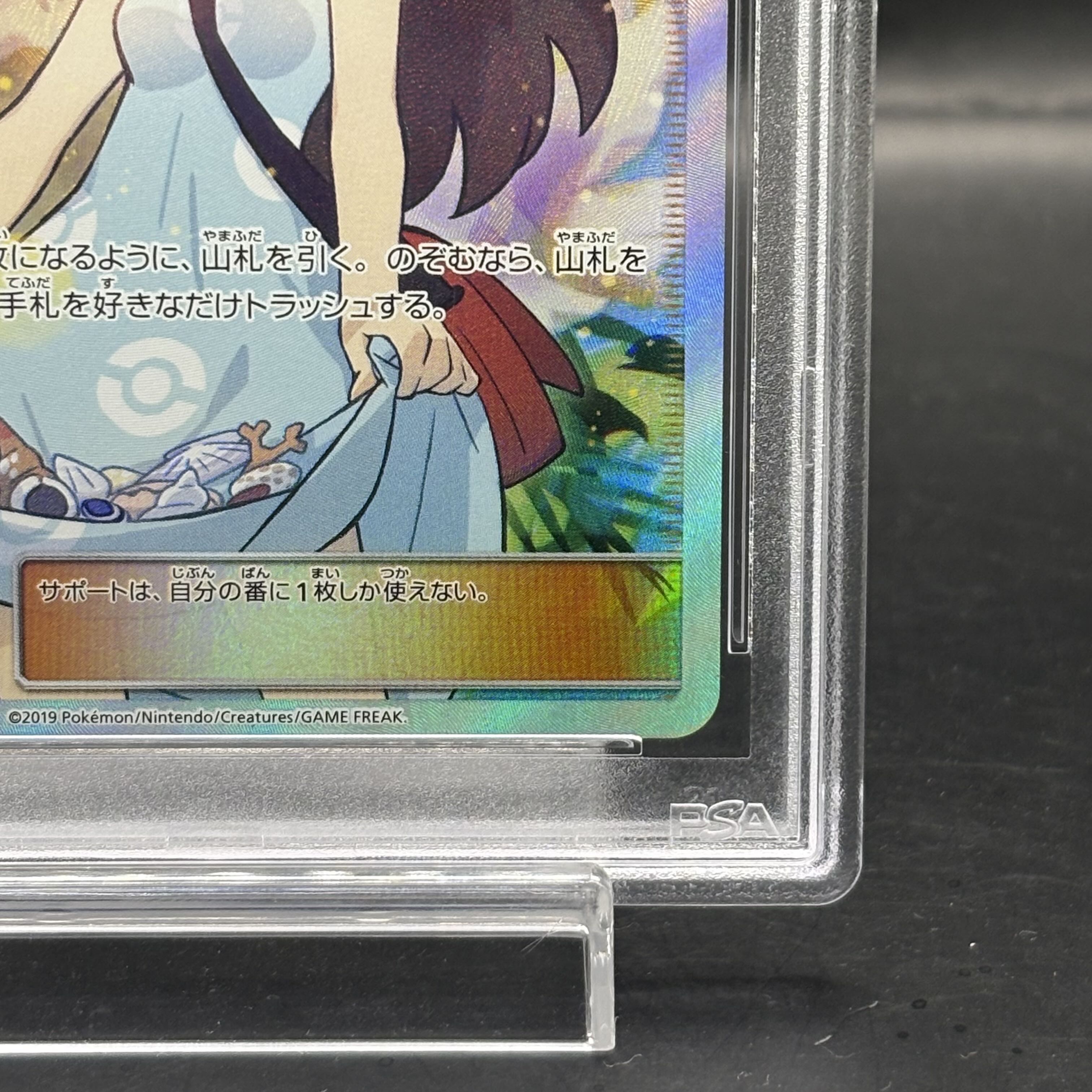 PSA10] Sightseer SR 192/173
