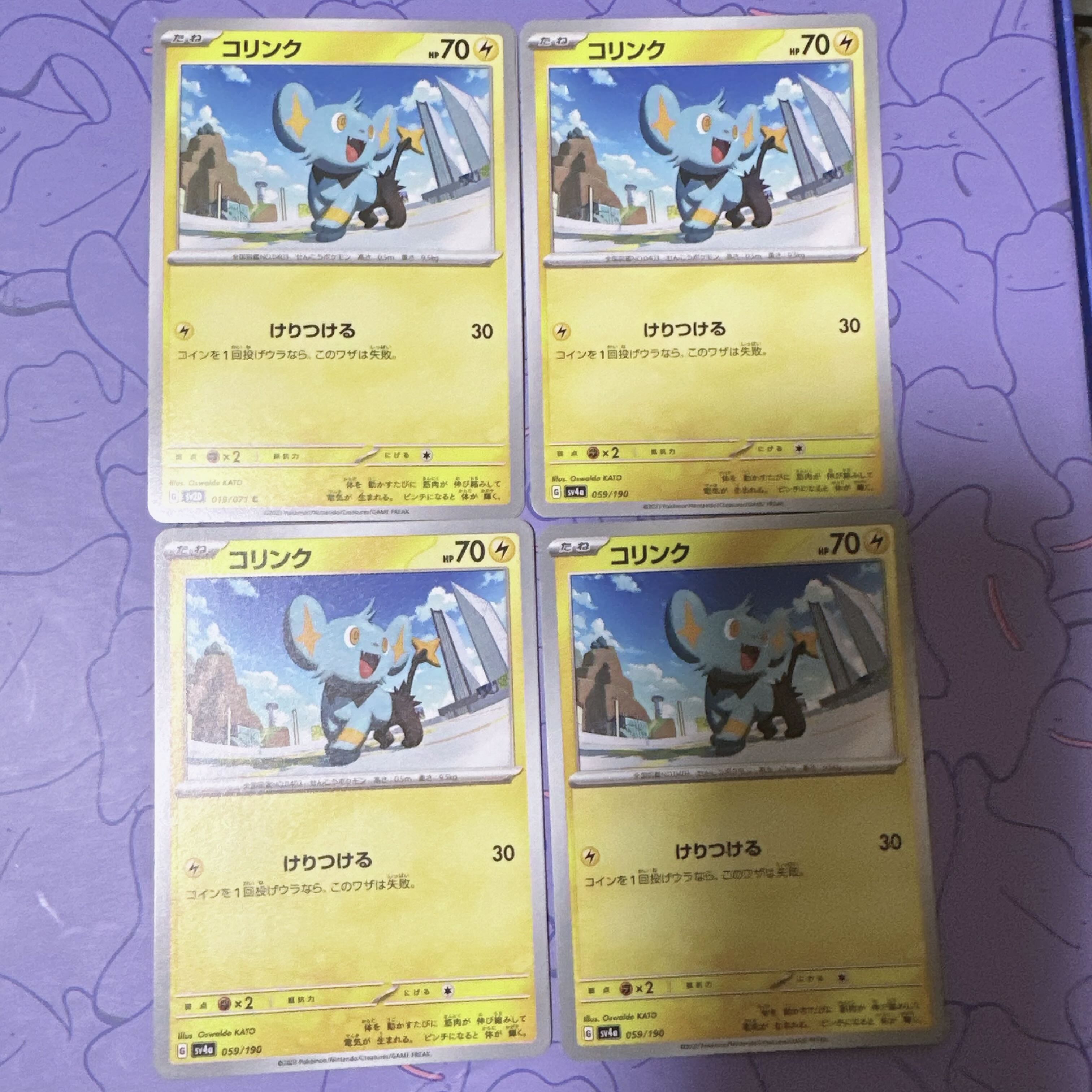 [00049] Shinx 059/190