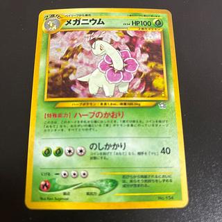 メガニウム プレミアムファイル 旧裏  1枚