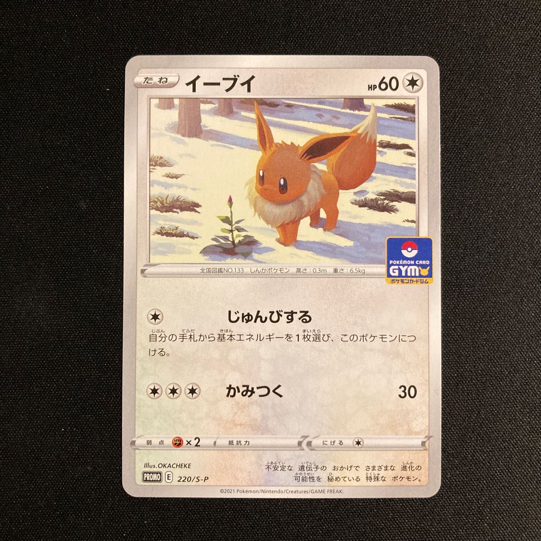 a392 Eevee 220/S-P Promo Pokemon Trekkie