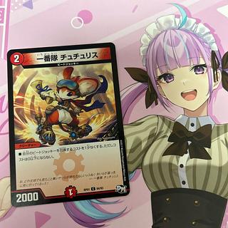 First team Tutu Squirrel C 84/93