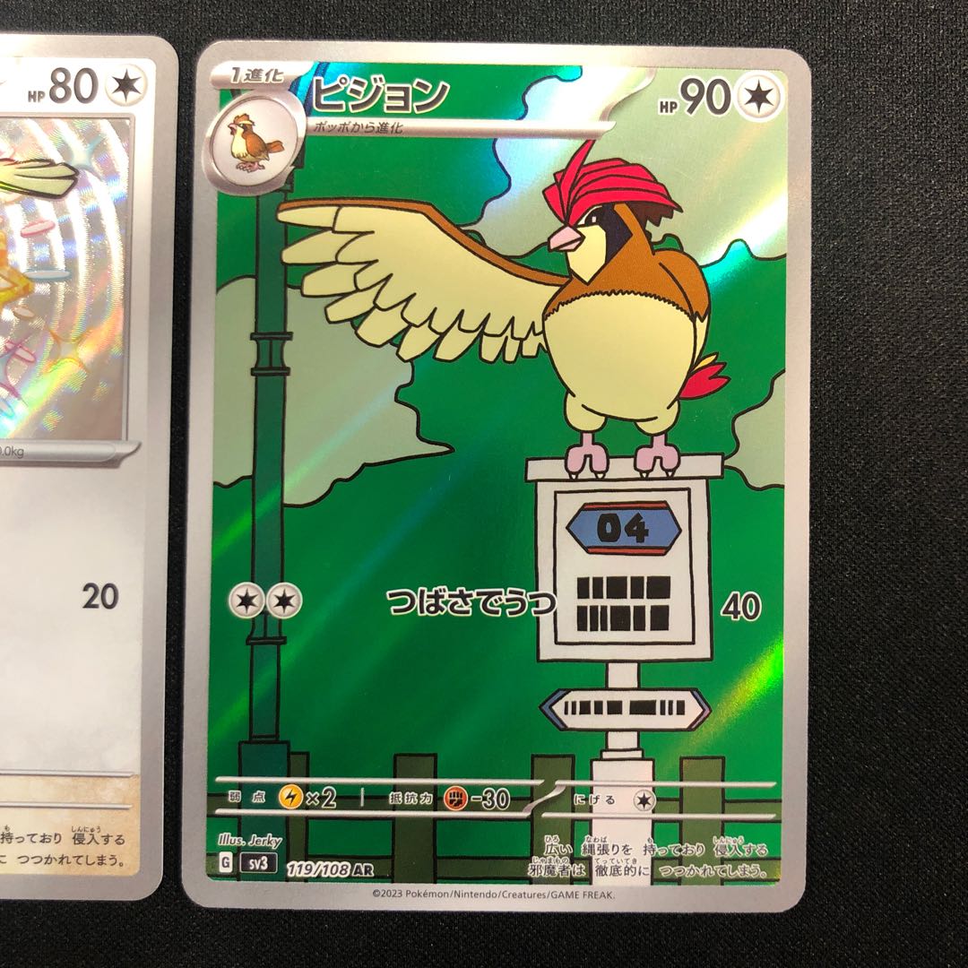 傷あり ピジョン 305/190 ピジョン 119/108