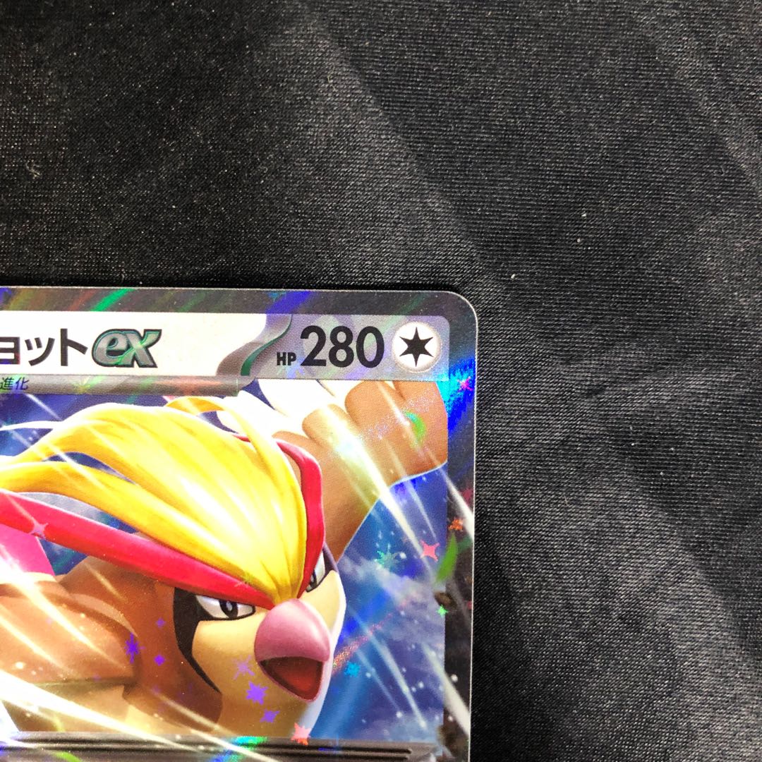 Pidgeotex RR 089/108