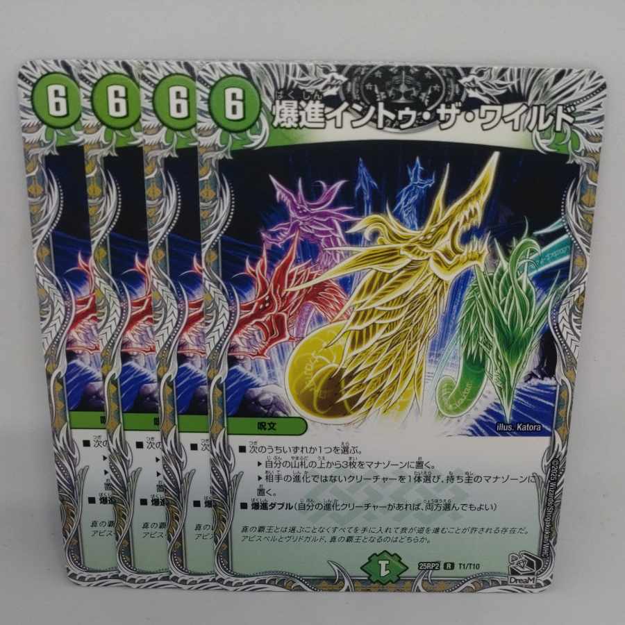 爆進イントゥ・ザ・ワイルド(黒トレジャー) R T1/T10