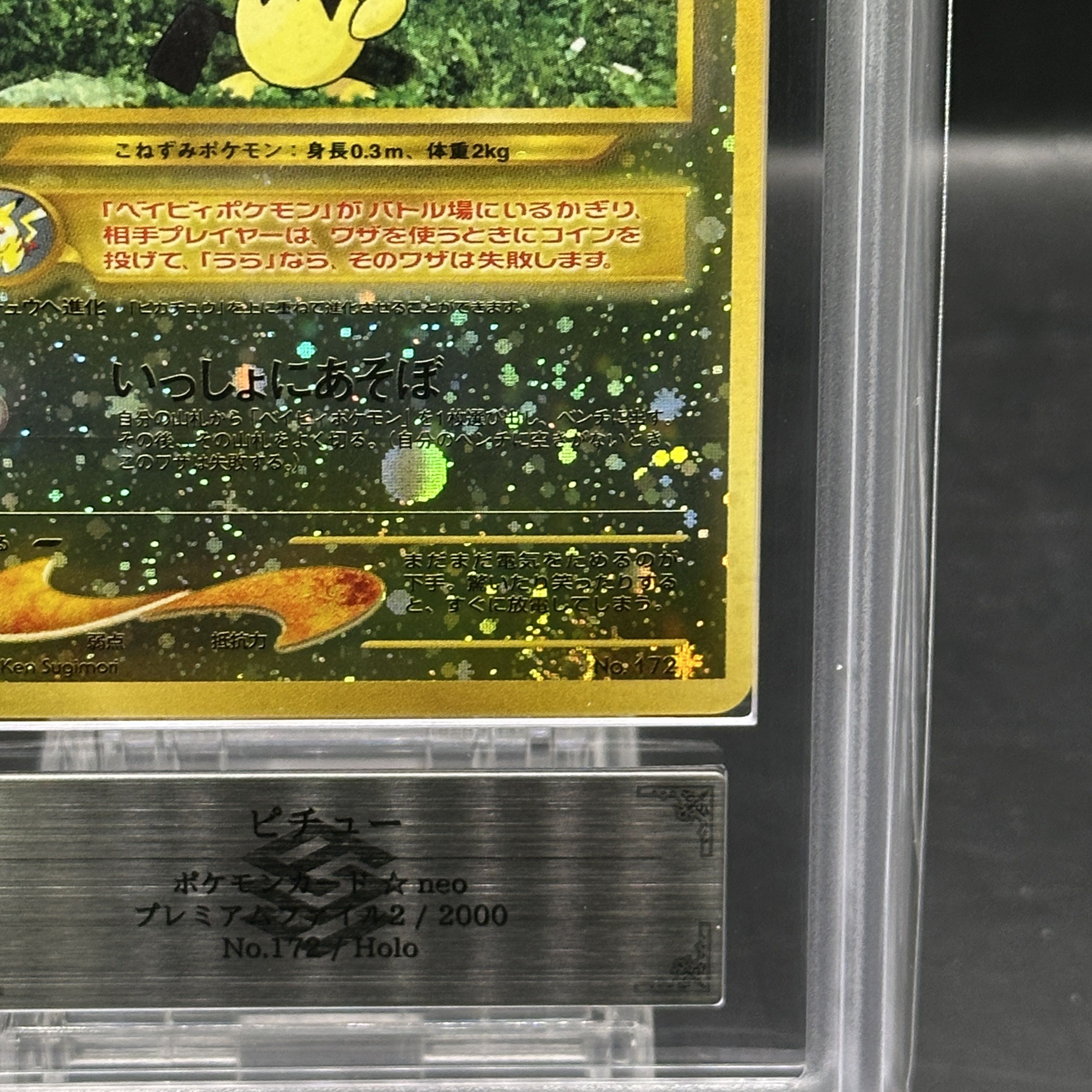 【ARS10】ピチュー プレミアムファイル キラ 旧裏  1枚