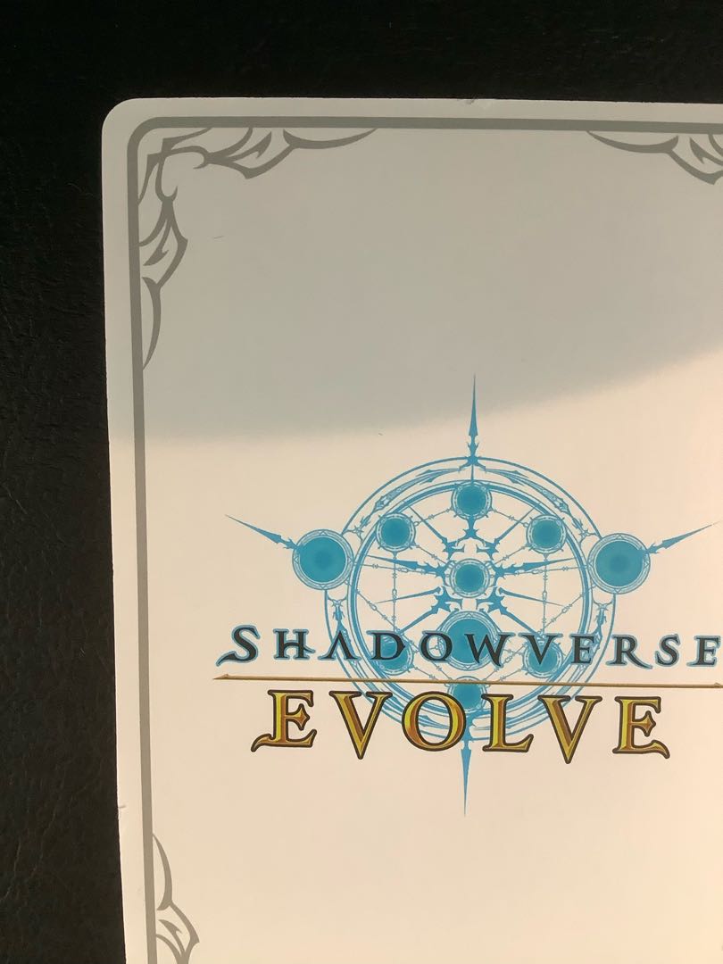 (Slight flaw) [Ambivalent Act] Mizuki Kaw Island CP02-LD03 1枚