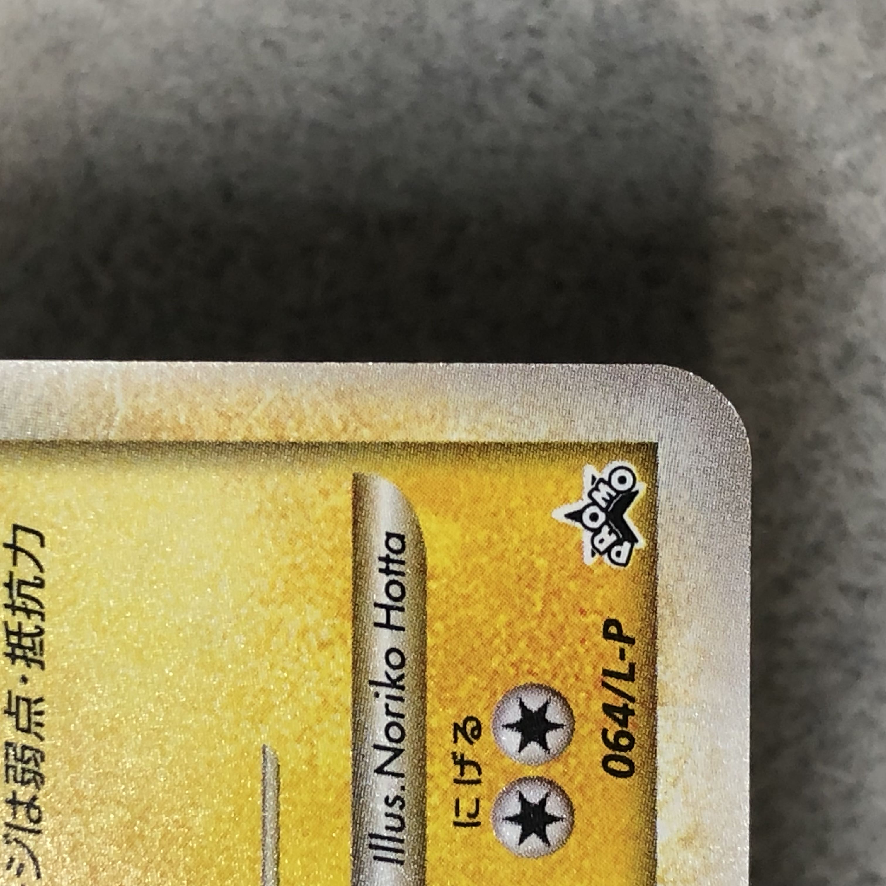 Raikou Color-matched Pokemon Present Campaign PROMO 064/L-P