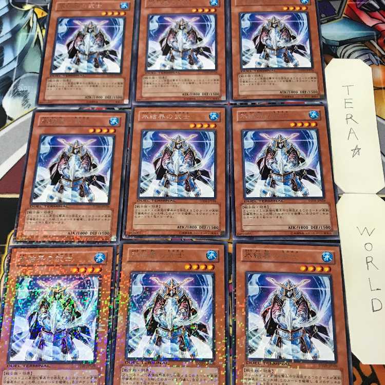 氷結界の武士 DT05 1 デュエルターミナル 効果 9枚セット てら 9枚