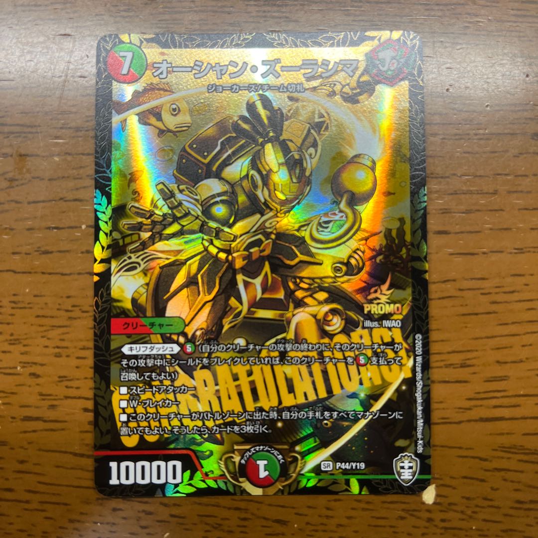 オーシャン・ズーラシマ SR S11/S11 1枚