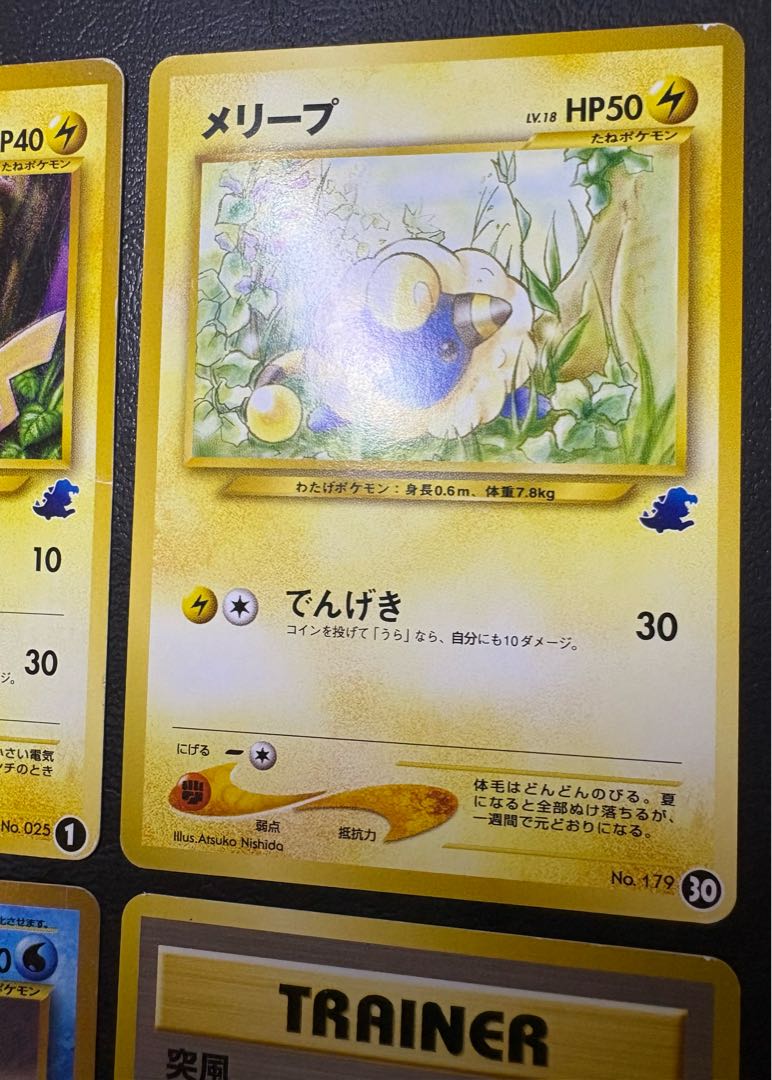 neo intro pack set (Totodile mark & Chikorita mark) Pokemon old back 11枚