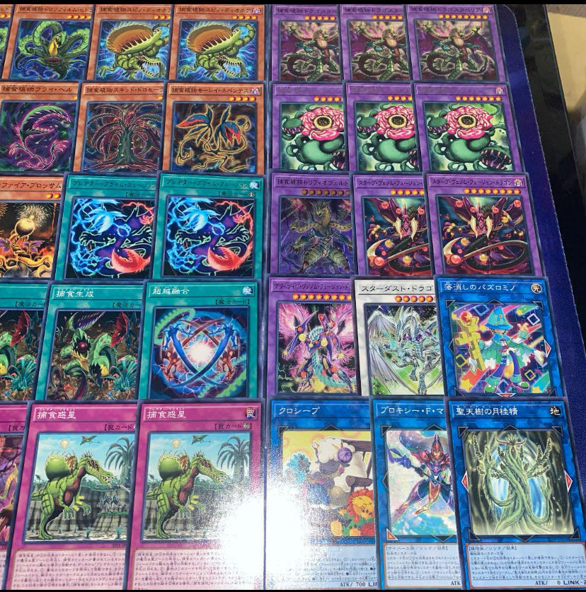 遊戯王 構築済み捕食植物デッキ40枚EX15枚の通販 神のじいさん 遊戯王 構築済み捕食植物デッキ40枚EX15枚の通販 神のじいさん