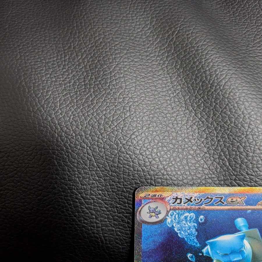 Early bird winner, beautiful item. Early bird winner, beautiful Blastoiseex SAR 202/165 1枚