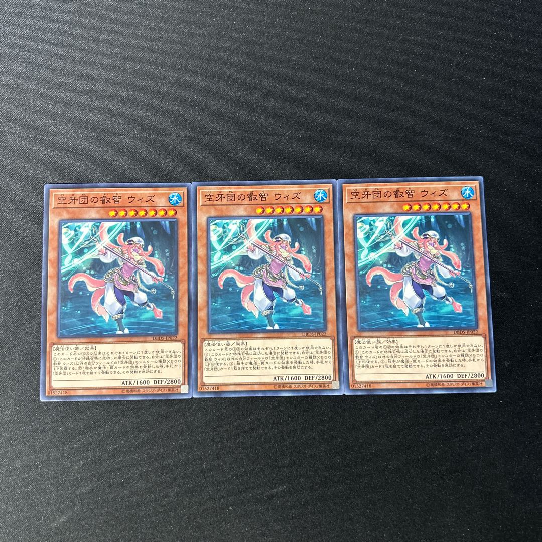 3740 Wiz, Sage Fur Hire*3473