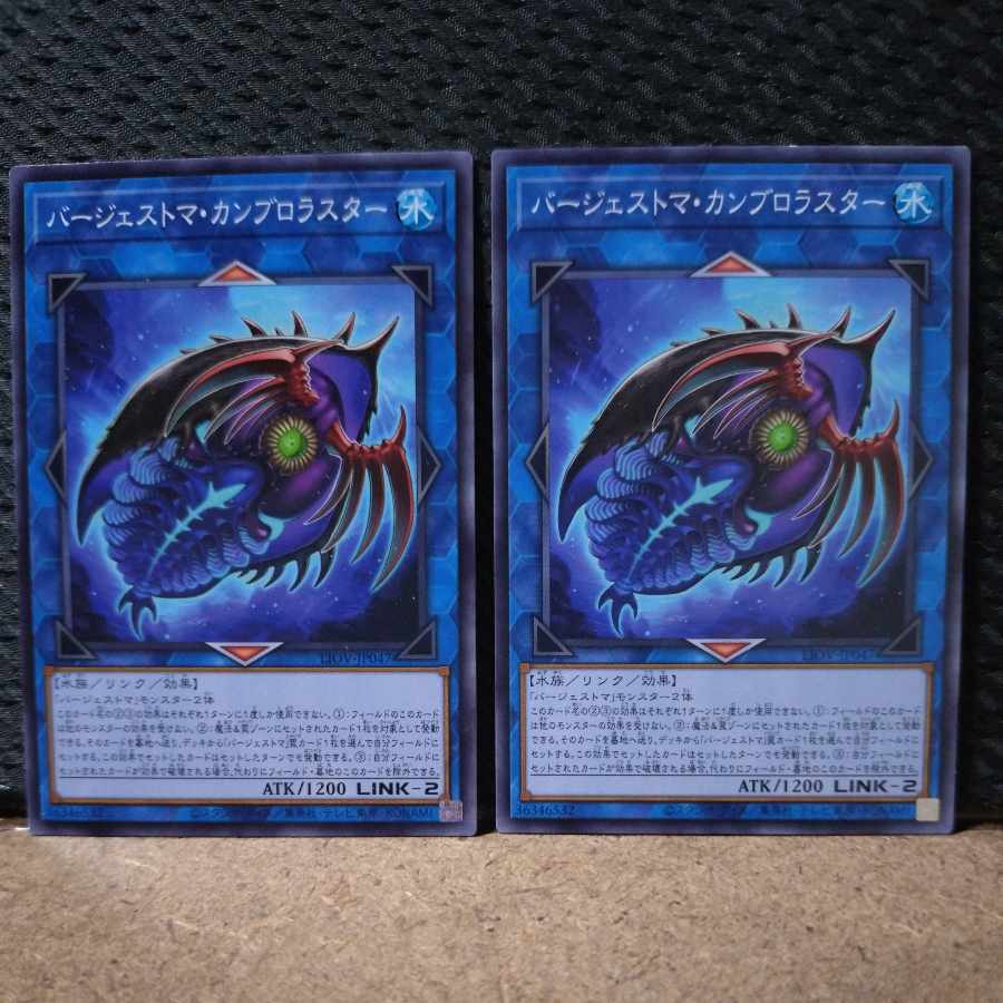 【ぽぽたん】遊戯王  3443  バージェストマ・カンブロラスター ノーマル   2枚 2枚