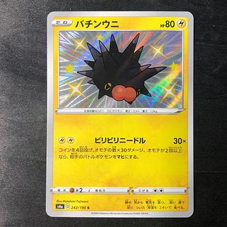 バチンウニ S 242/190 1枚