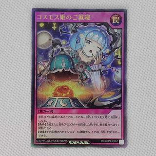 コスモス姫のご就寝