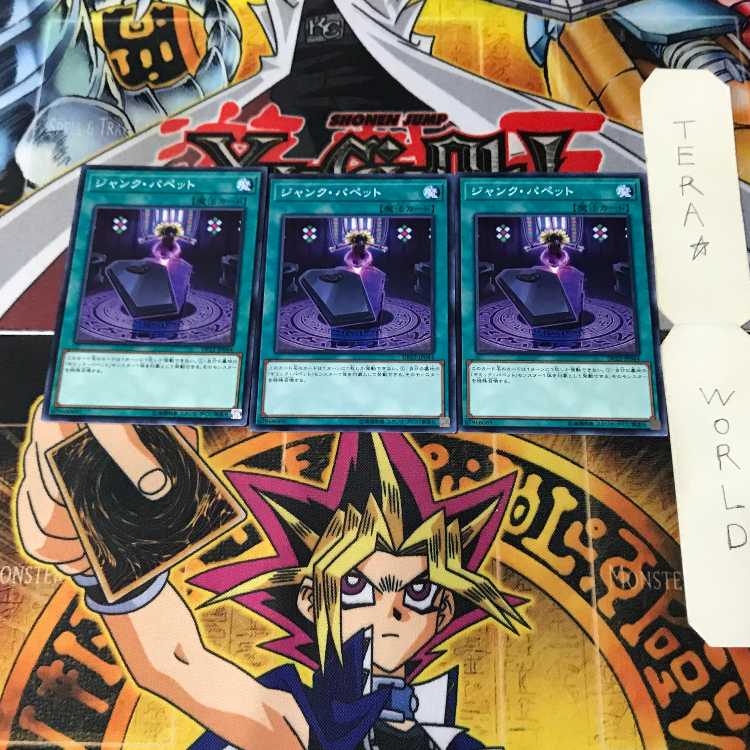 Junk Puppet DP22 1 Normal, set of 3 Tera.