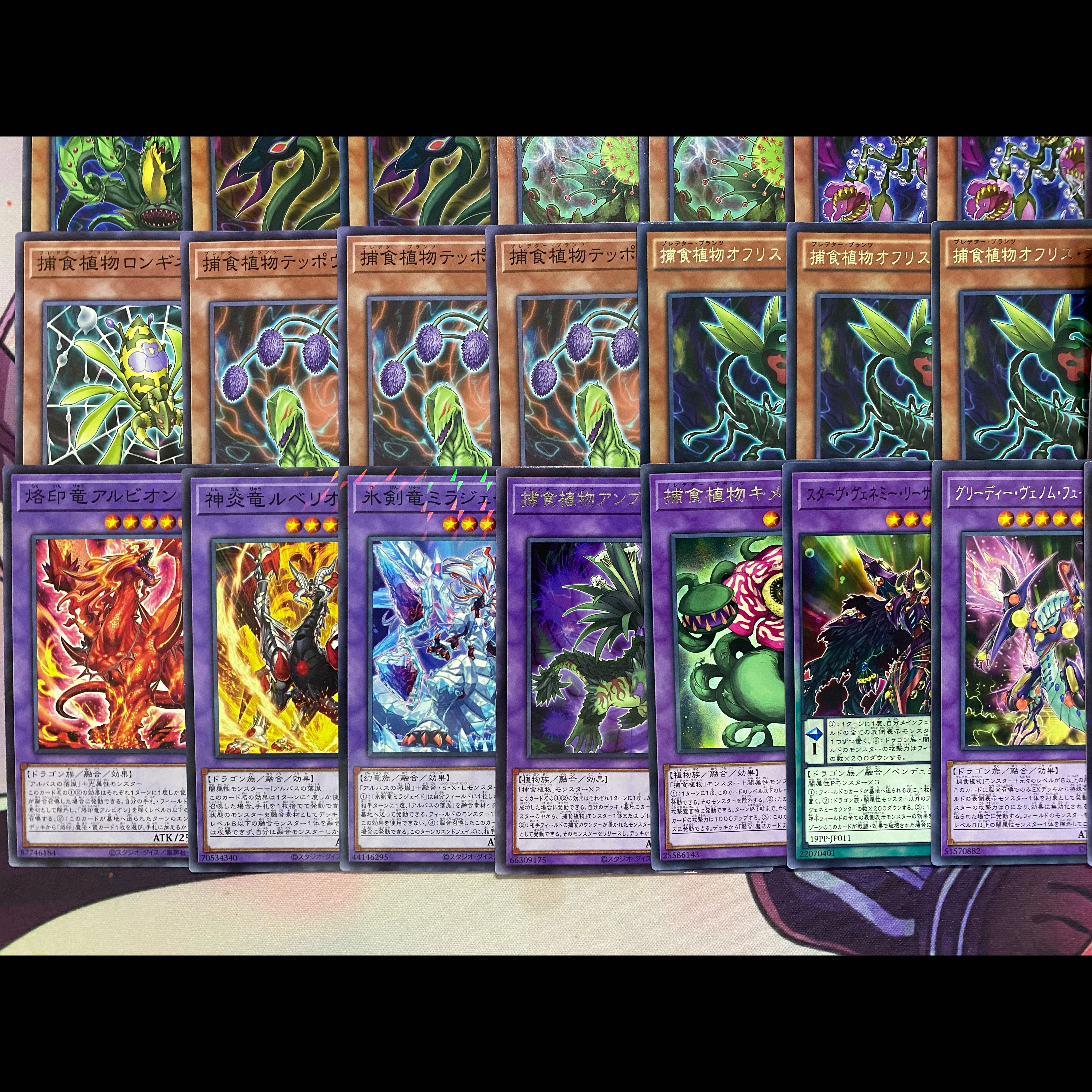 [Ships Within 24 Hours] Yu-Gi-Oh! Branded Prey Upon: Predator Plants—Fully Built Deck 1枚
