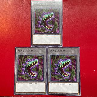 遊戯王 捕食カウンター 【22TP】ノーマル ３枚セット