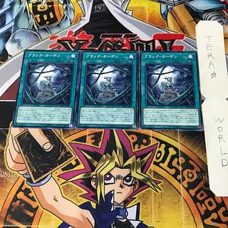 Black Garden DP21 1 Normal, set of 3 Tera.